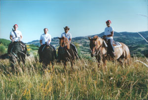 Amiata horseback