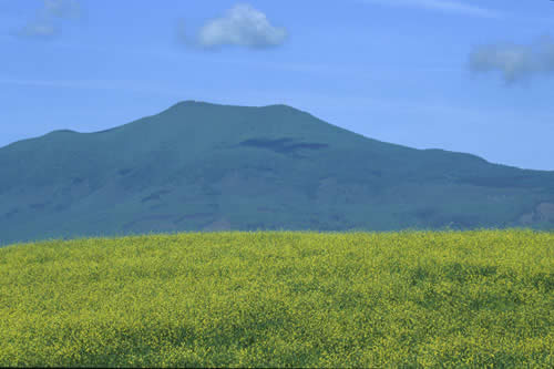 La montagna a primavera vista dalla Val D'Orcia