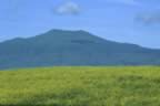 La montagna a primavera vista dalla Val D'Orcia (24kb)