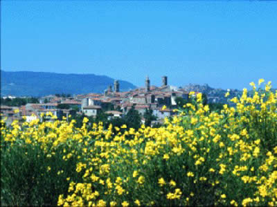 vista di Castel del Piano