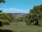 Vista di Seggiano (22kb)