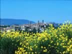 vista di Castel del Piano (30kb)