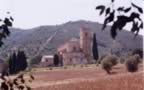 Vista dell'Abbazia di Sant'Antimo (17kb)