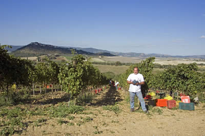 Alessandro nella sua vigna