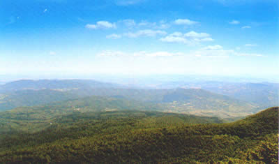 Vista della Val di Paglia dalla Vetta