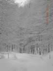 Impressionante (17kb)