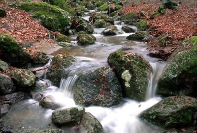 Torrente Onazio al Parco Faunistico