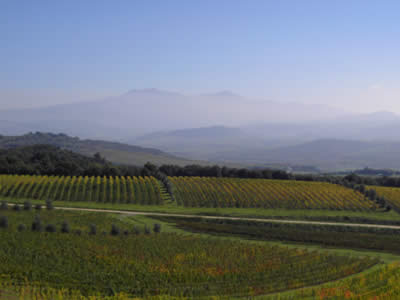 Vista da Castello Banfi