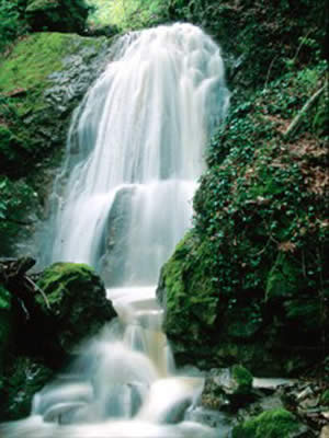 Torrente al Vivo D'Orcia