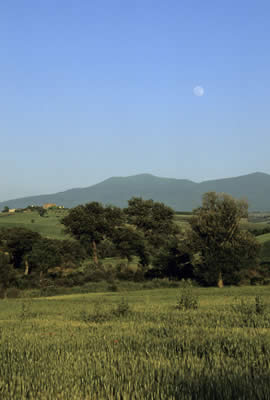 Vista dell'Amiata dalla zona di Montecucco