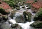 Torrente Onazio al Parco Faunistico (28kb)
