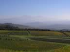 Vista da Castello Banfi (12kb)