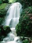 Torrente al Vivo D'Orcia (23kb)