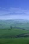 Vista dell'Amiata dalla zona del MOntecucco (7kb)