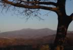 Vista dell'Amiata da Monticello (16kb)