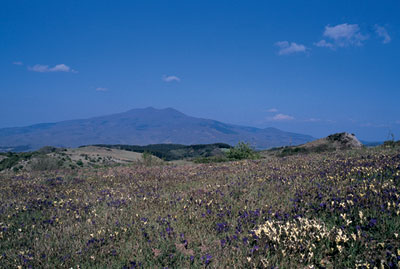 Monte Amiata, der Vulkan der Toskana 