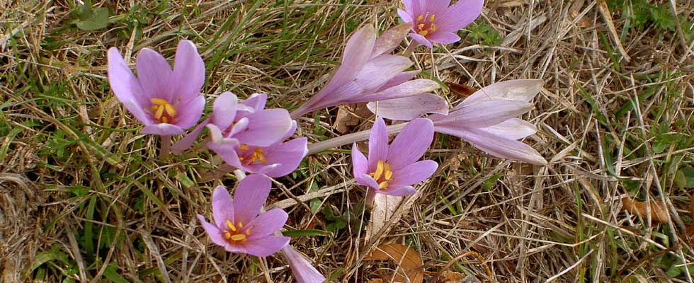 Le stagioni del Monte Amiata