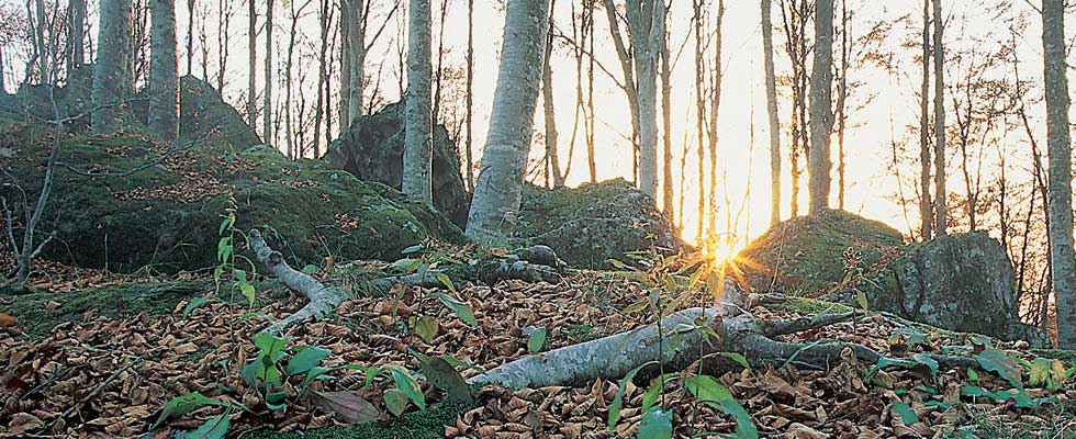 Meeting and incentive on Monte Amiata