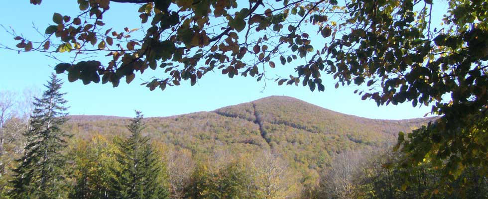 Le stagioni del Monte Amiata