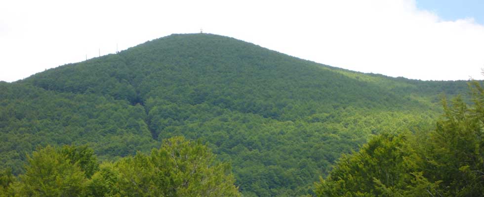 Monte Amiata, der Vulkan der Toskana