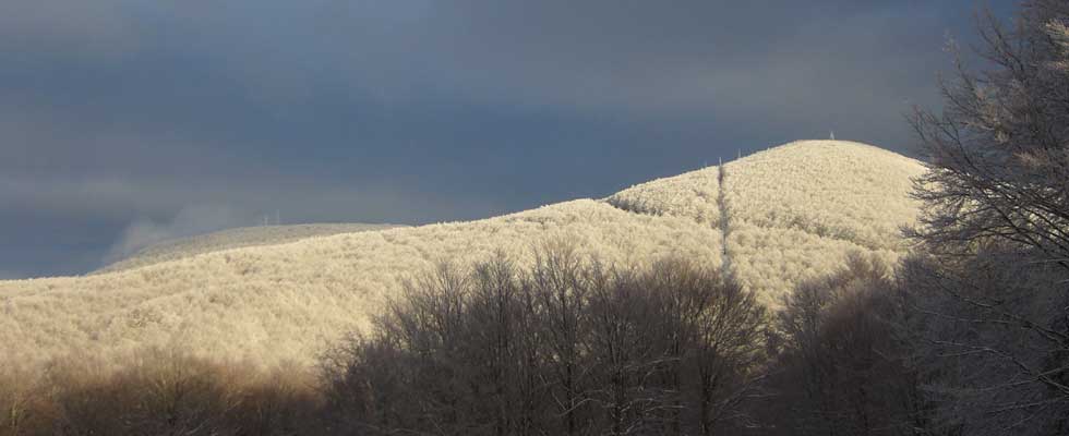 Le stagioni del Monte Amiata