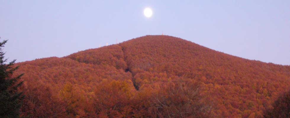 Monte Amiata the Tuscan's Volcano