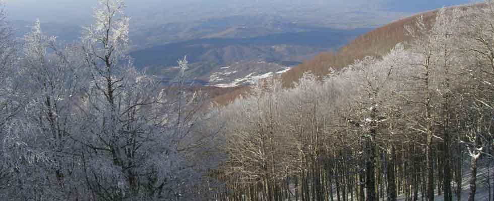 Escursioni con le ciaspole sul monte amiata