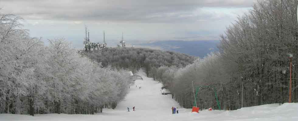 Amiata weather Forecast