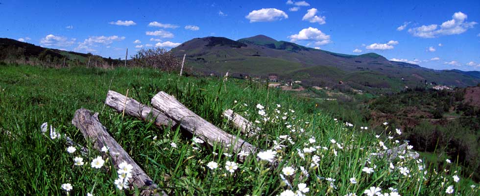 The Monte Amiata natural park