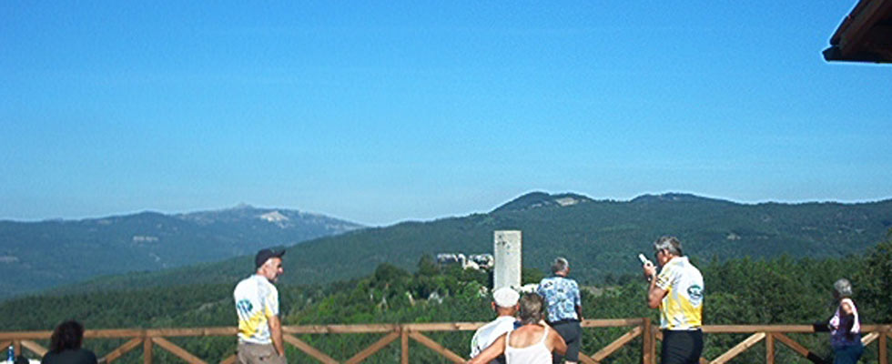 Cardellini del fontanino di castel del piano