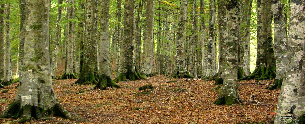 Nordic walking in Toscana