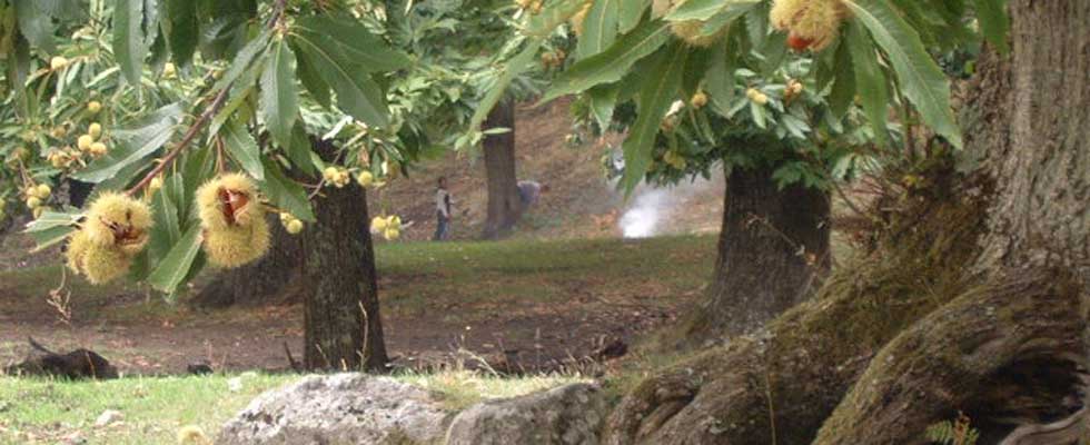 Horseback on Monte Amiata