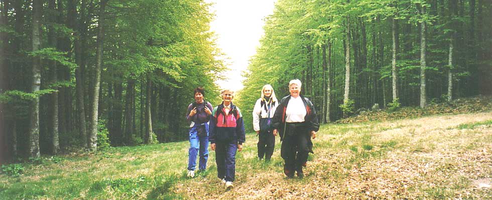 Nordic walking in Toscana