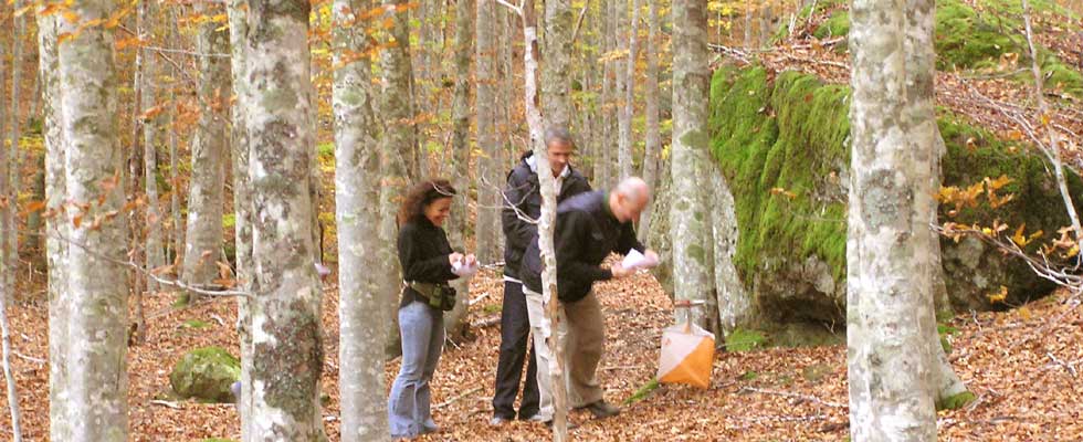 Orienteering sul Monte Amiata