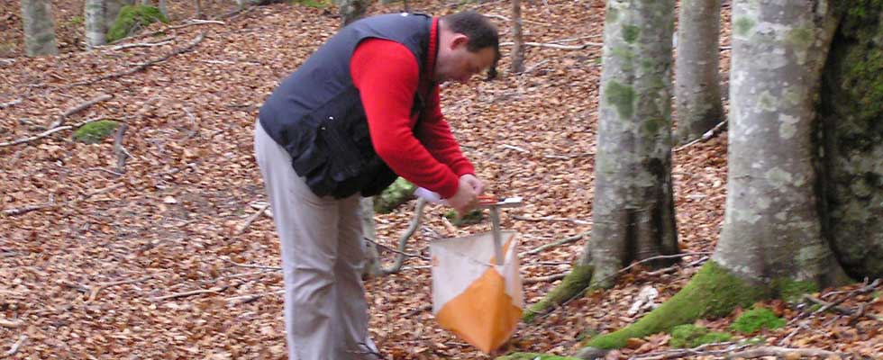 Orienteering sul Monte Amiata