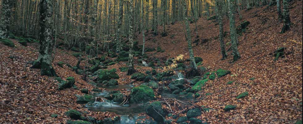 Gite sul Monte Amiata