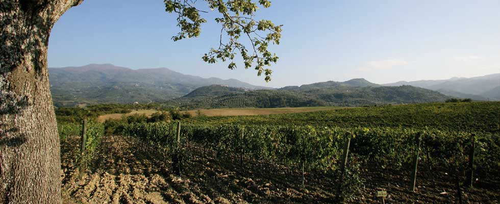 Monte Amiata in Toscana