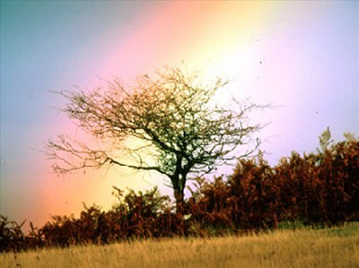 Arcobaleno al Parco Faunistico